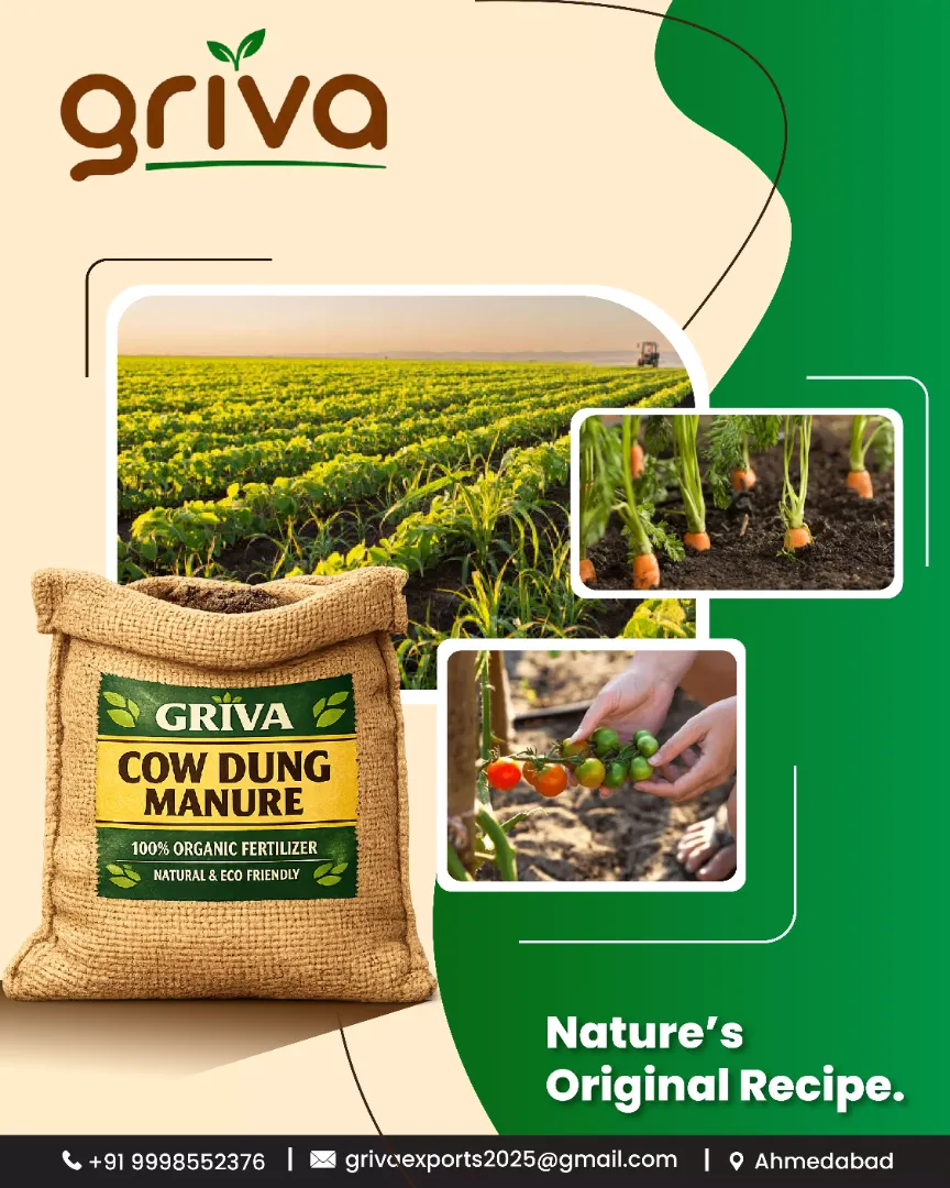Organic Cow-Dung Manure