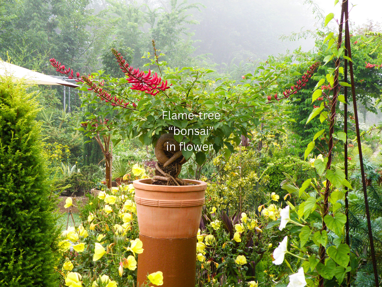 Two-Acre Garden Design & Horticulture — Connecticut