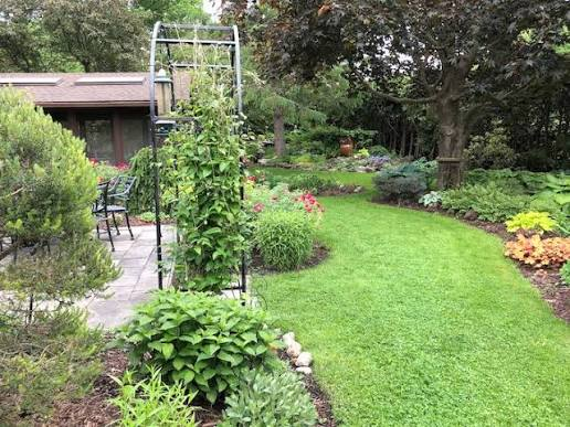 Small Backyard Garden Transformation
