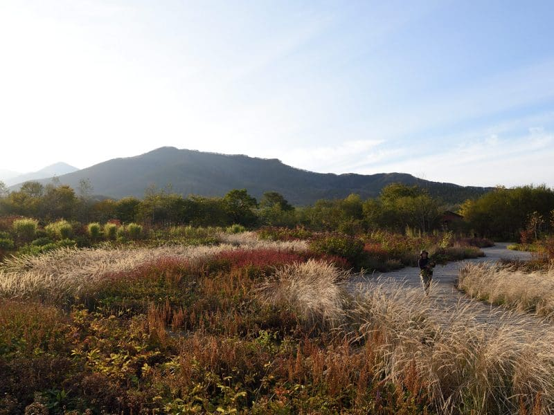 Tokachi Millennium Forest