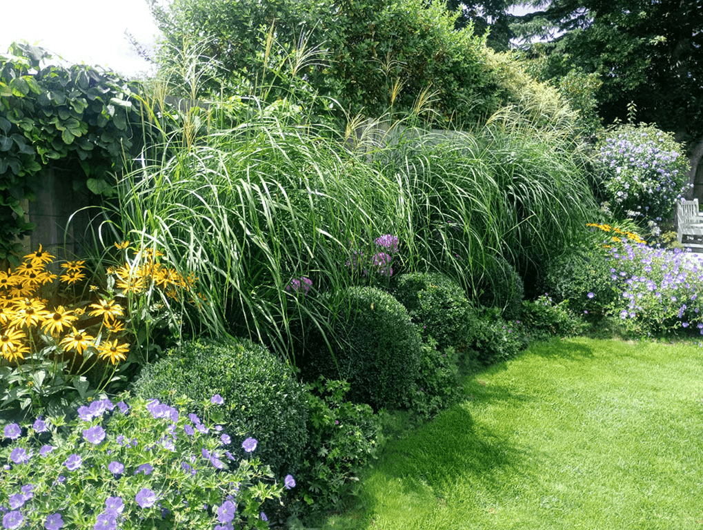 Garden Redesign – West Kensington