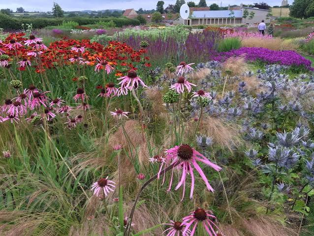 Naturalistic Private Garden Planting Design