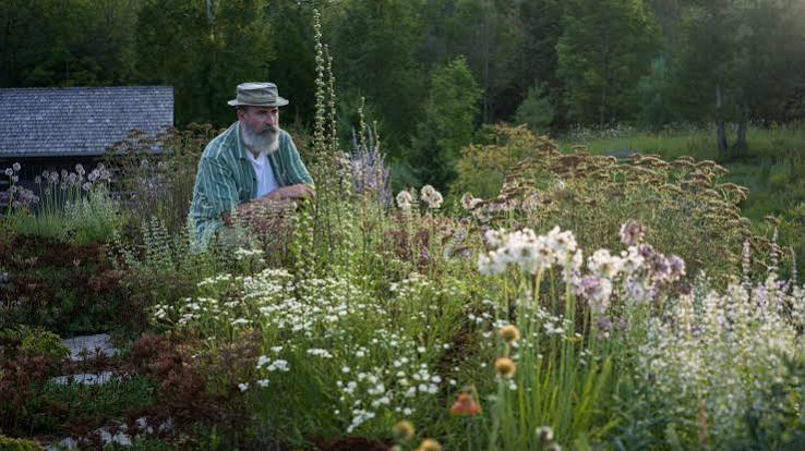 Naturalistic Garden at Elder Hill