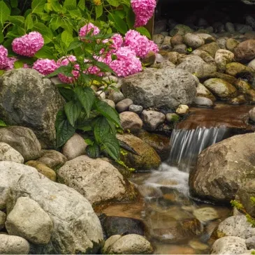 Horticultural Therapy Program Development