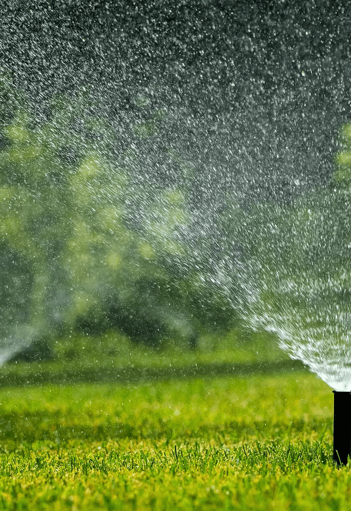 Landscape Irrigation Audit