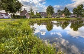 Lake & Pond Management