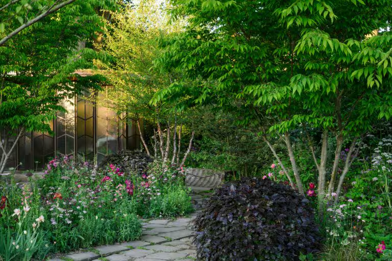 Glasshouse Garden, RHS Chelsea Flower Show 2025