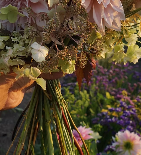 Cut Flower Growing