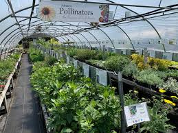 Plant Delights Nursery