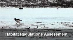 Habitat Restoration and Sustainable Land Management