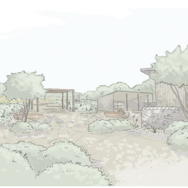 Regenerative Garden Design Project