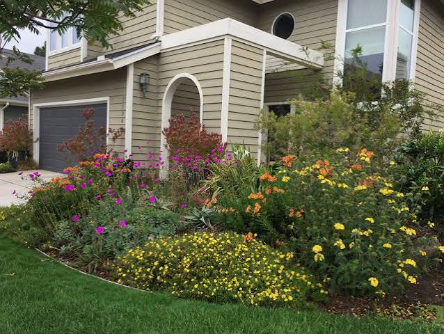 Garden Design, Plant Science, and Public Outreach