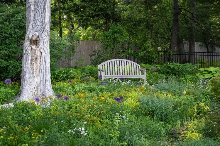 Pleasant View Meadow