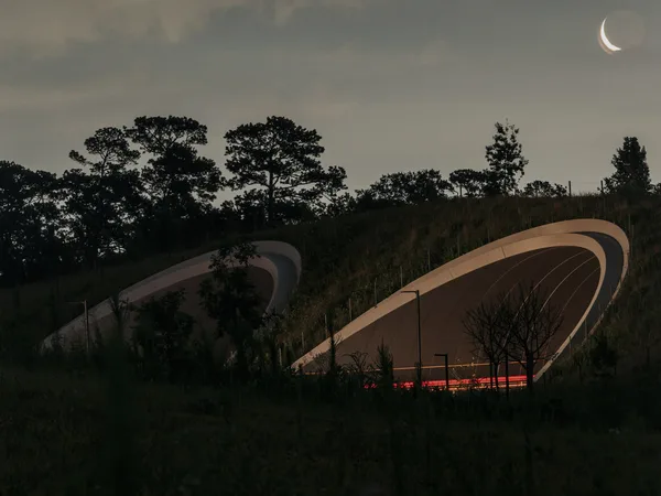 Kinder Land Bridge and Cyvia and Melvyn Wolff Prairie at Memorial Park