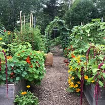 The Year-Round Vegetable Gardener