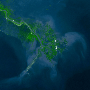 Mississippi River Sediment Diversion Visualizations