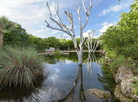 Leon Levy Native Plant Preserve