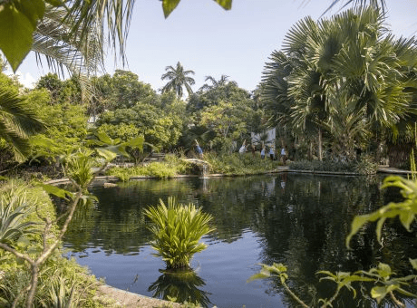 Miami Beach Botanical Garden